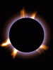 anim240320mobildesign.atw.hu_0314.gif